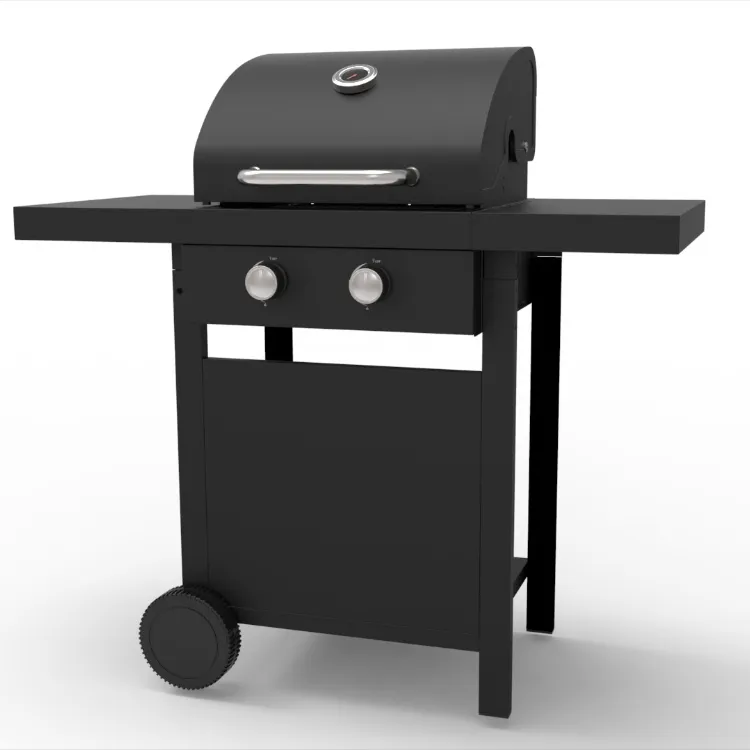 tabletop gas grill for outdoor meals