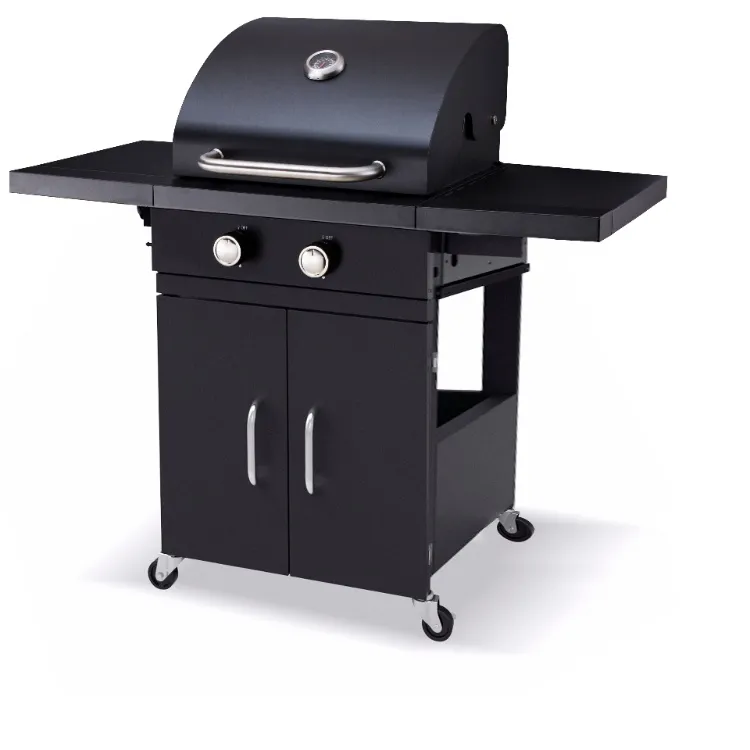 residential two burner gas barbecue system