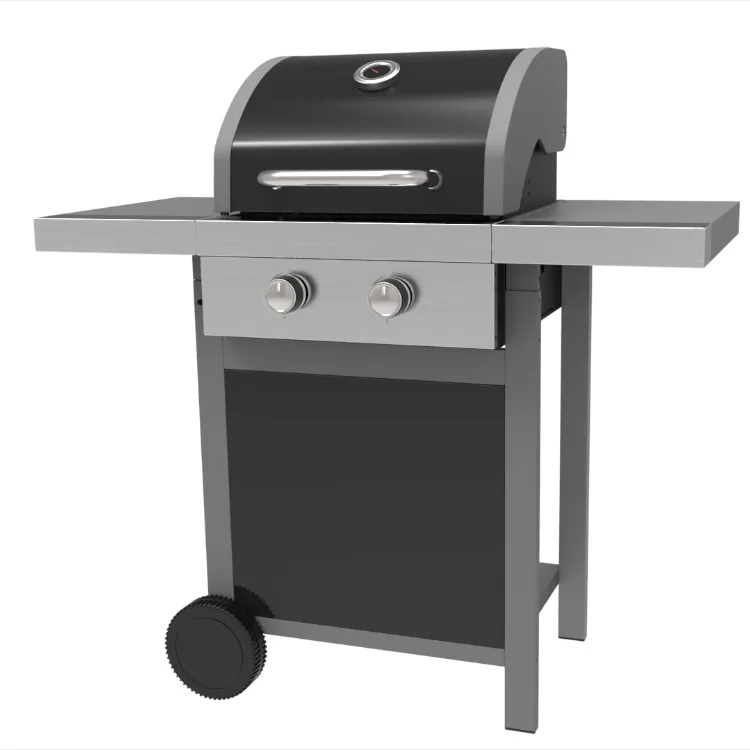 dual burner gas grill for home cooking